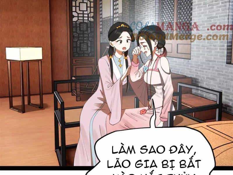 Chàng Rể Mạnh Nhất Lịch Sử - Chương 239 - ảnh 16