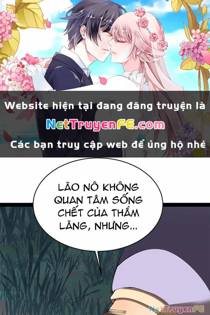 Chàng Rể Mạnh Nhất Lịch Sử - Chương 239 - ảnh 2