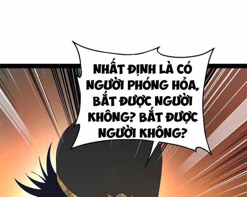 Chàng Rể Mạnh Nhất Lịch Sử - Chương 240 - ảnh 72