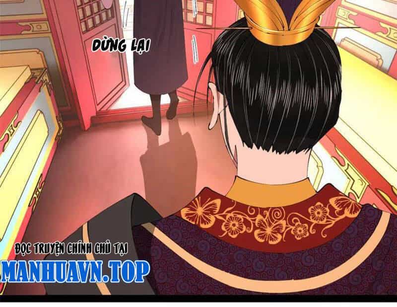 Chàng Rể Mạnh Nhất Lịch Sử - Chương 243 - ảnh 105
