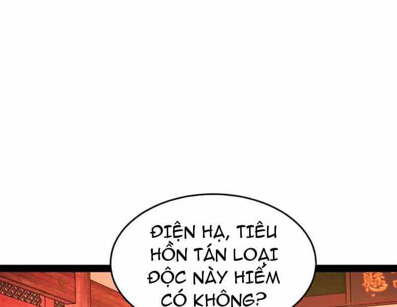 Chàng Rể Mạnh Nhất Lịch Sử - Chương 243 - ảnh 55