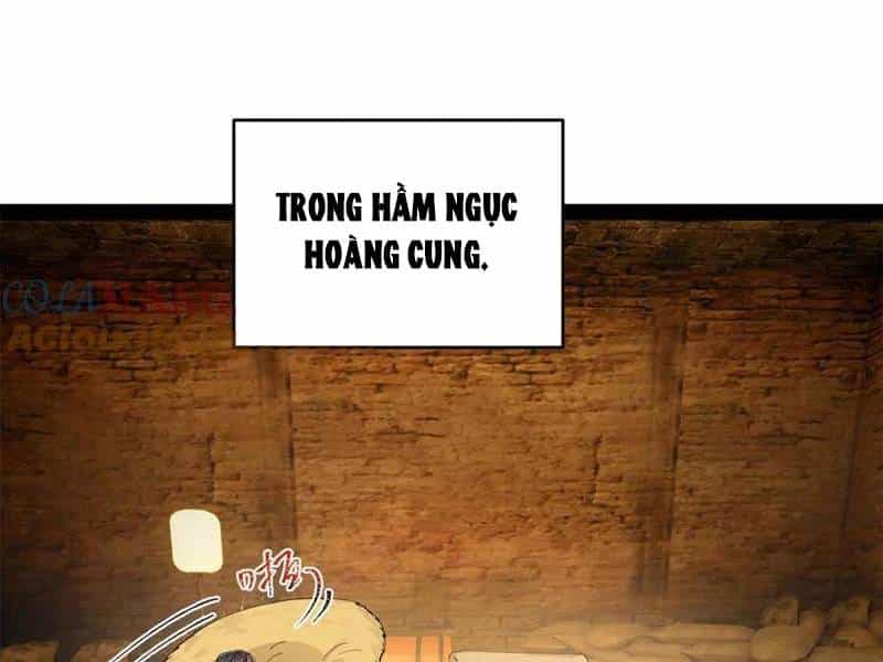 Chàng Rể Mạnh Nhất Lịch Sử - Chương 246 - ảnh 109