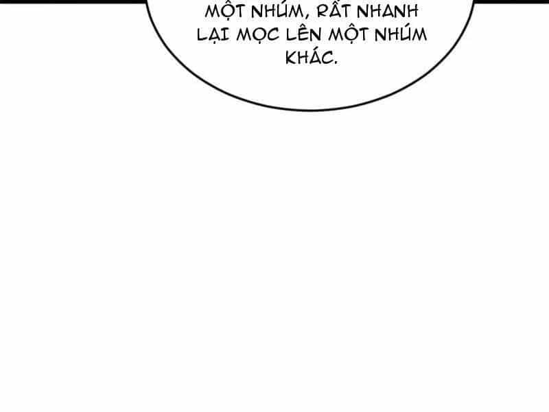 Chàng Rể Mạnh Nhất Lịch Sử - Chương 252 - ảnh 40