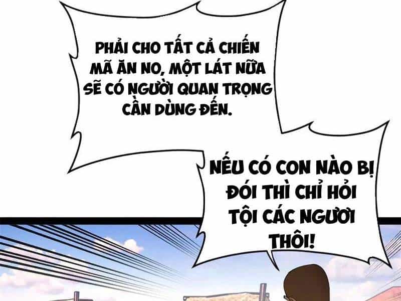 Chàng Rể Mạnh Nhất Lịch Sử - Chương 253 - ảnh 4