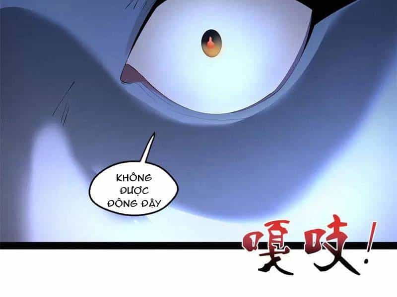 Chàng Rể Mạnh Nhất Lịch Sử - Chương 253 - ảnh 42
