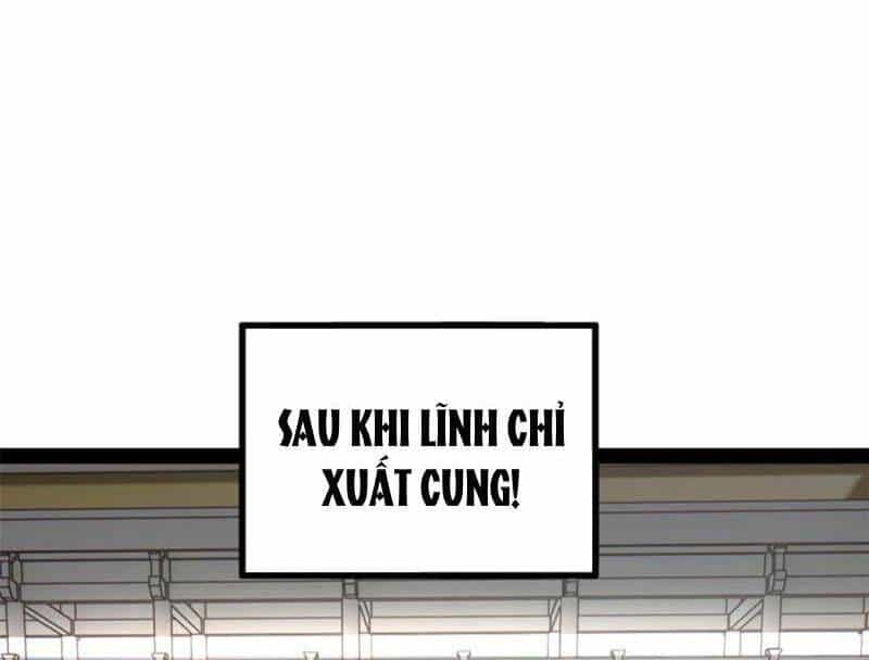 Chàng Rể Mạnh Nhất Lịch Sử - Chương 254 - ảnh 63