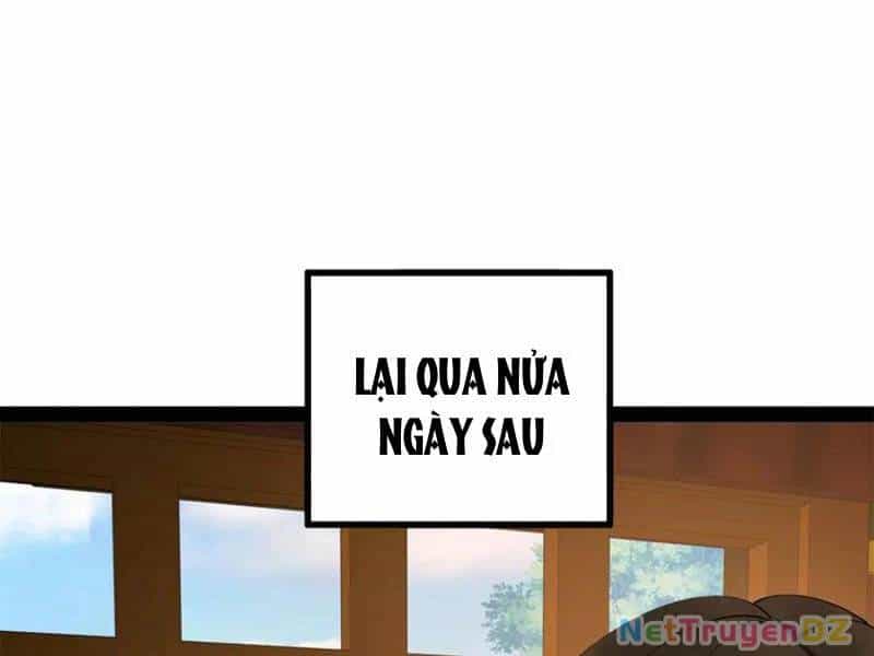 Chàng Rể Mạnh Nhất Lịch Sử - Chương 255 - ảnh 16