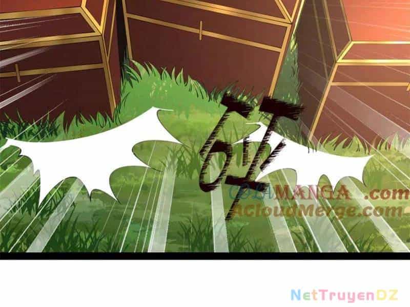 Chàng Rể Mạnh Nhất Lịch Sử - Chương 255 - ảnh 2