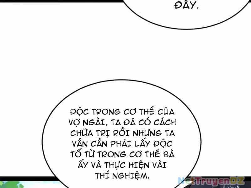 Chàng Rể Mạnh Nhất Lịch Sử - Chương 255 - ảnh 28