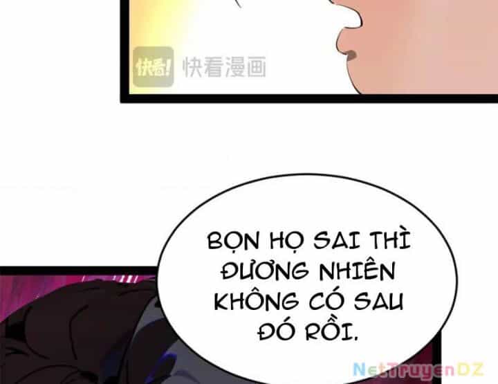 Chàng Rể Mạnh Nhất Lịch Sử - Chương 256 - ảnh 22