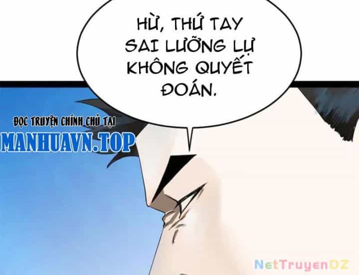 Chàng Rể Mạnh Nhất Lịch Sử - Chương 256 - ảnh 49