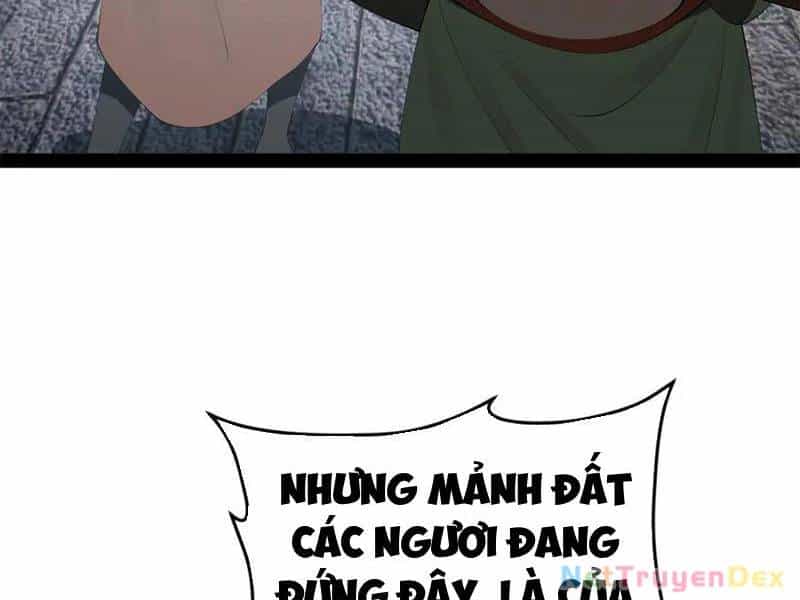 Chàng Rể Mạnh Nhất Lịch Sử - Chương 257 - ảnh 14