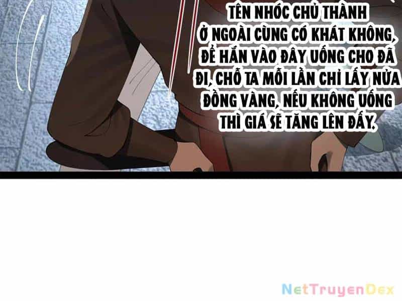 Chàng Rể Mạnh Nhất Lịch Sử - Chương 257 - ảnh 21