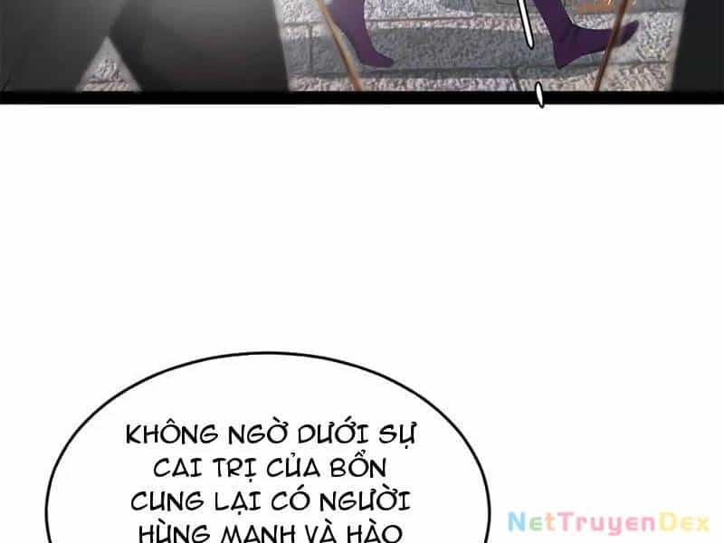 Chàng Rể Mạnh Nhất Lịch Sử - Chương 257 - ảnh 29