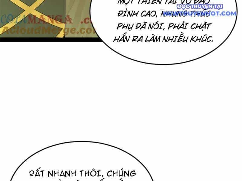 Chàng Rể Mạnh Nhất Lịch Sử - Chương 260 - ảnh 13