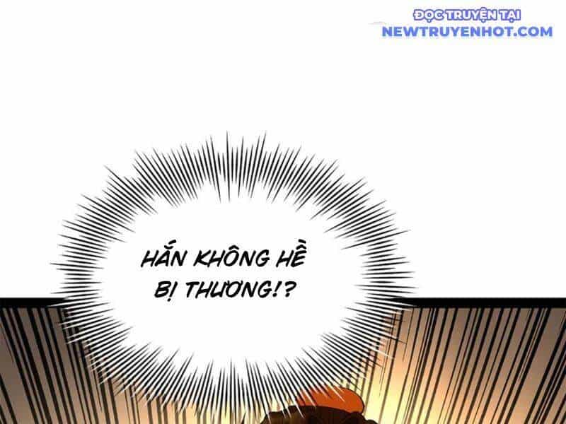 Chàng Rể Mạnh Nhất Lịch Sử - Chương 260 - ảnh 23