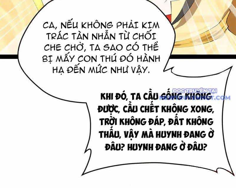 Chàng Rể Mạnh Nhất Lịch Sử - Chương 264 - ảnh 122