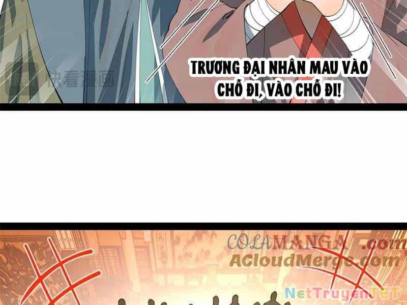 Chàng Rể Mạnh Nhất Lịch Sử - Chương 265 - ảnh 100
