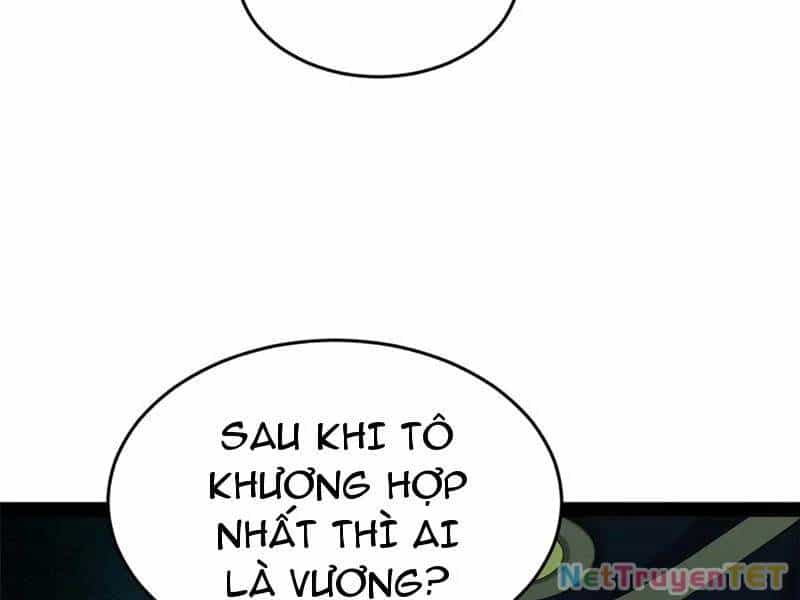 Chàng Rể Mạnh Nhất Lịch Sử - Chương 265 - ảnh 12