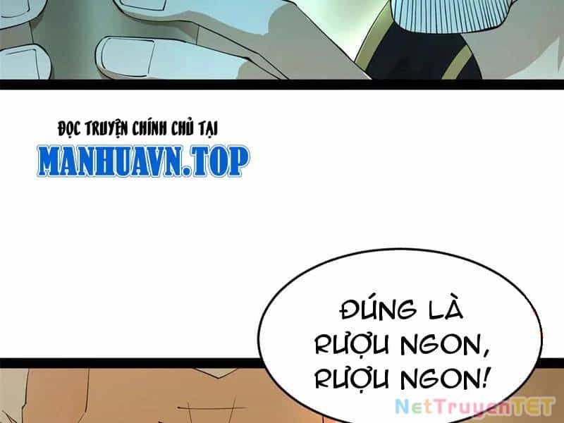Chàng Rể Mạnh Nhất Lịch Sử - Chương 265 - ảnh 124