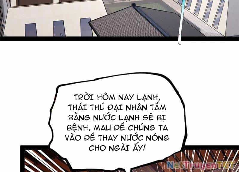 Chàng Rể Mạnh Nhất Lịch Sử - Chương 265 - ảnh 39