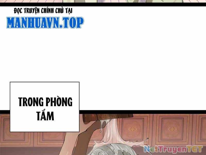 Chàng Rể Mạnh Nhất Lịch Sử - Chương 265 - ảnh 43