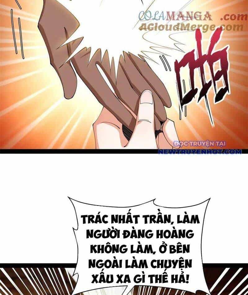 Chàng Rể Mạnh Nhất Lịch Sử - Chương 267 - ảnh 18