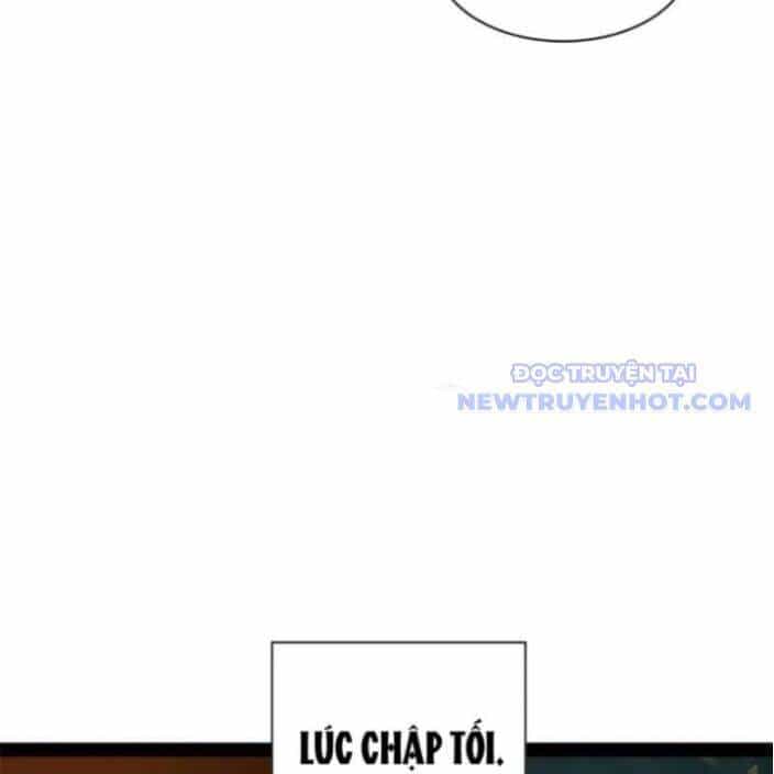 Chàng Rể Mạnh Nhất Lịch Sử - Chương 269 - ảnh 93