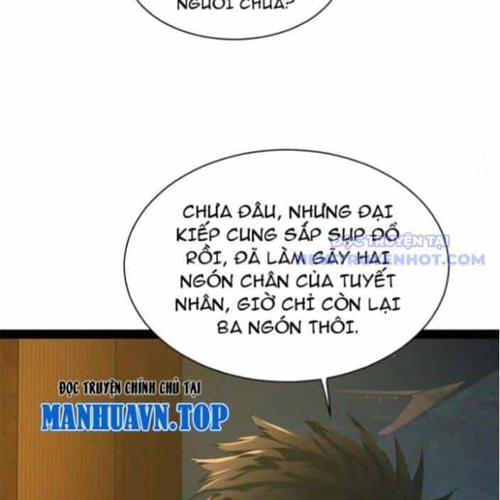 Chàng Rể Mạnh Nhất Lịch Sử - Chương 269 - ảnh 95