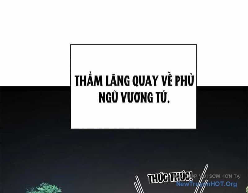 Chàng Rể Mạnh Nhất Lịch Sử - Chương 319 - ảnh 103