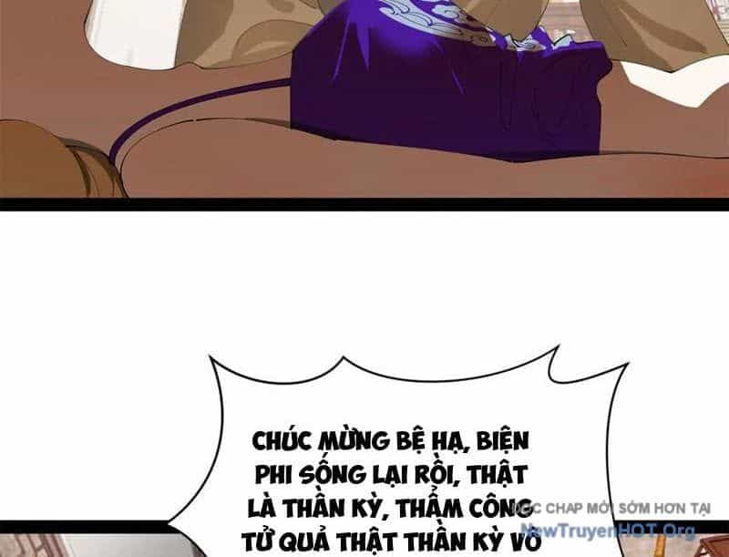 Chàng Rể Mạnh Nhất Lịch Sử - Chương 319 - ảnh 30