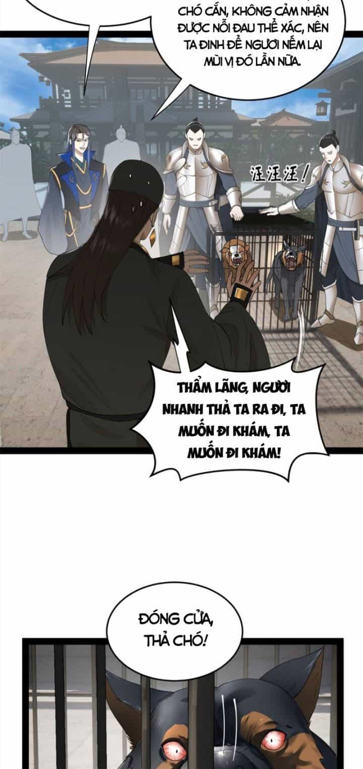 Chàng Rể Mạnh Nhất Lịch Sử - Chương 75 - ảnh 27