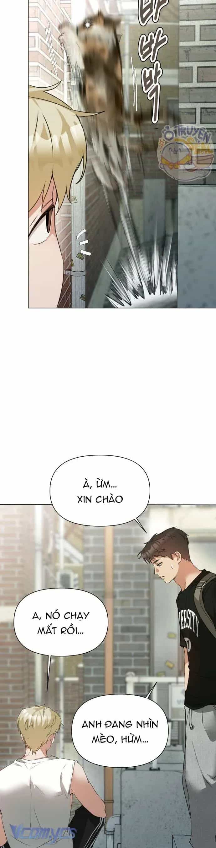 Chàng Romeo Của Chúng Ta - Chương 5 - ảnh 8