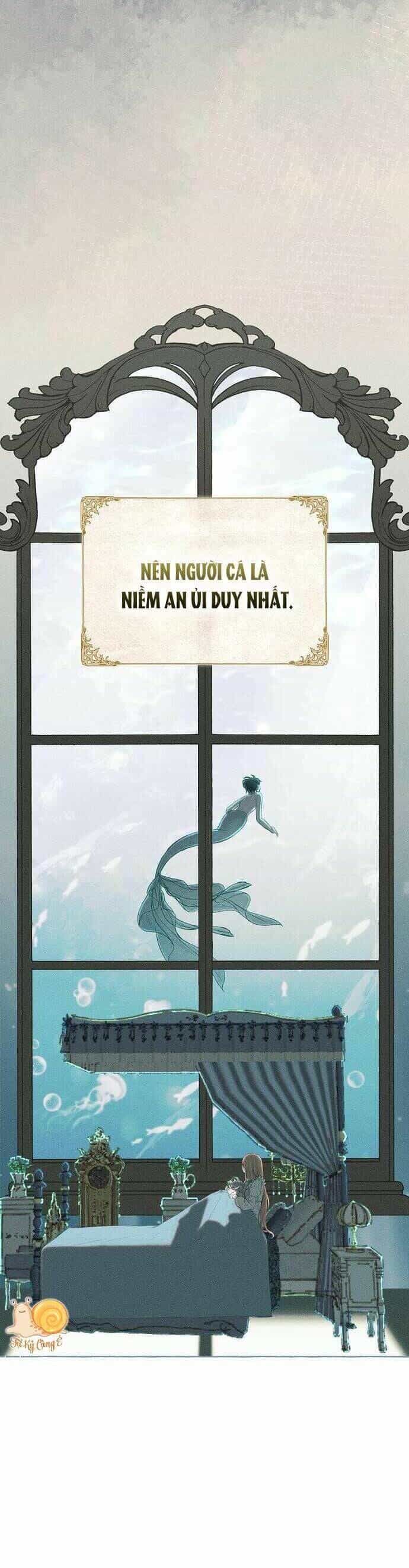 Chàng Tiên Cá Bị Giam Cầm Trong Hồ Nhà Tôi - Chương 1 - ảnh 4