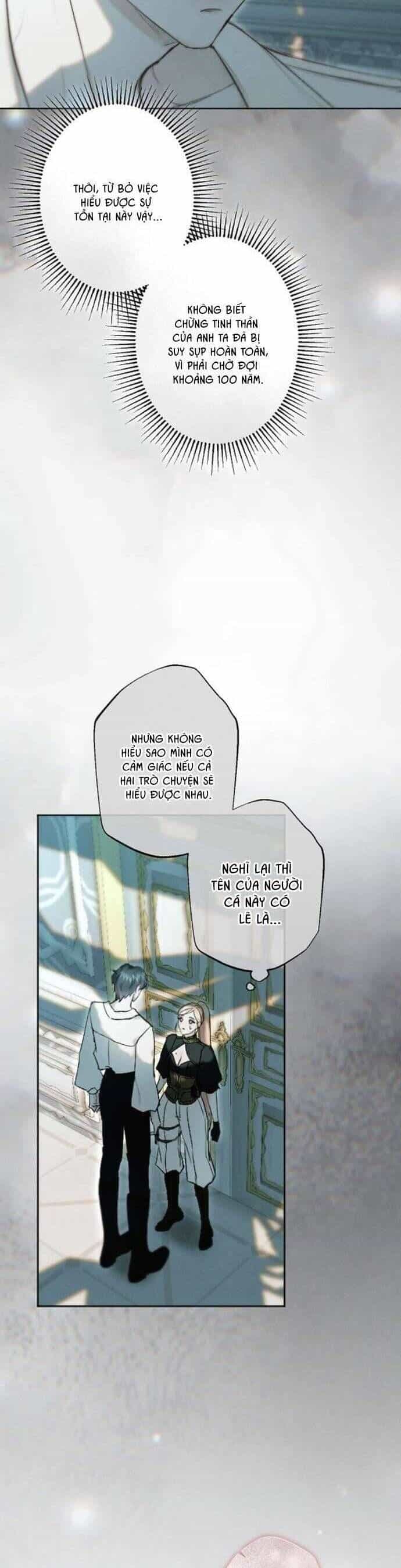 Chàng Tiên Cá Bị Giam Cầm Trong Hồ Nhà Tôi - Chương 15 - ảnh 22