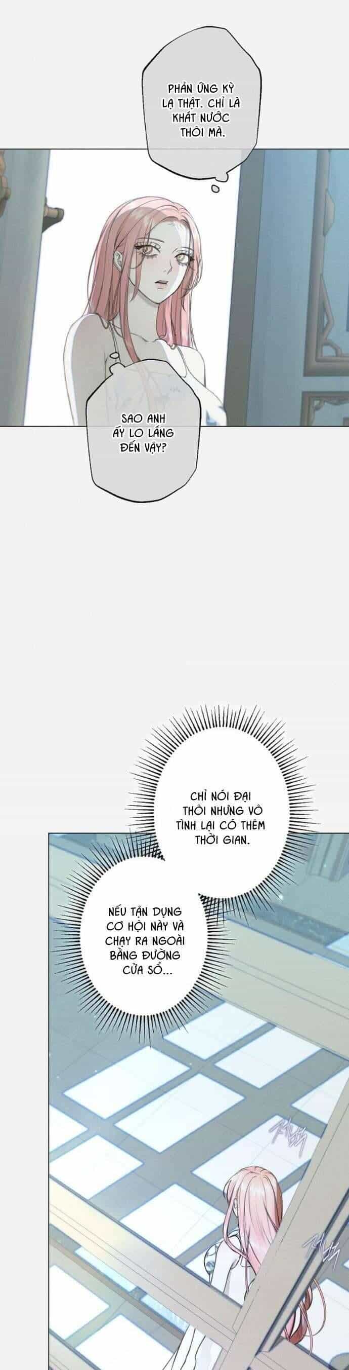 Chàng Tiên Cá Bị Giam Cầm Trong Hồ Nhà Tôi - Chương 24 - ảnh 16