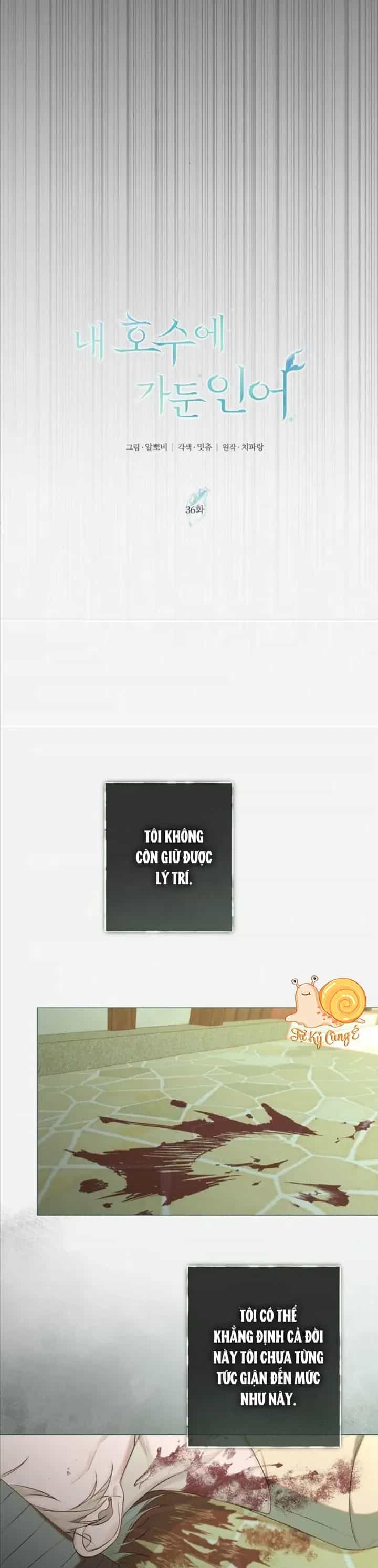 Chàng Tiên Cá Bị Giam Cầm Trong Hồ Nhà Tôi - Chương 36 - ảnh 16