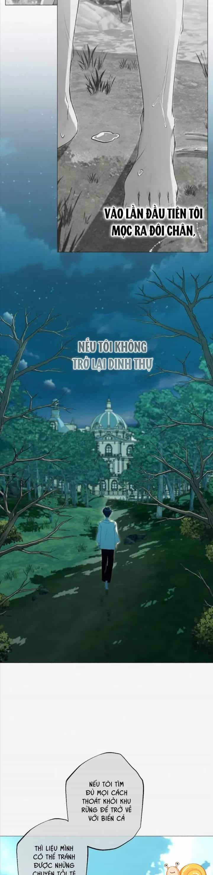 Chàng Tiên Cá Bị Giam Cầm Trong Hồ Nhà Tôi - Chương 36 - ảnh 31