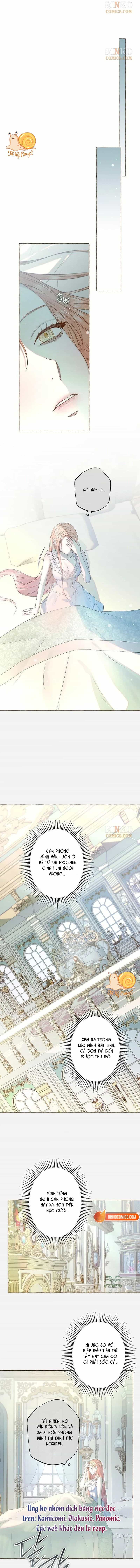 Chàng Tiên Cá Bị Giam Cầm Trong Hồ Nhà Tôi - Chương 42 - ảnh 5