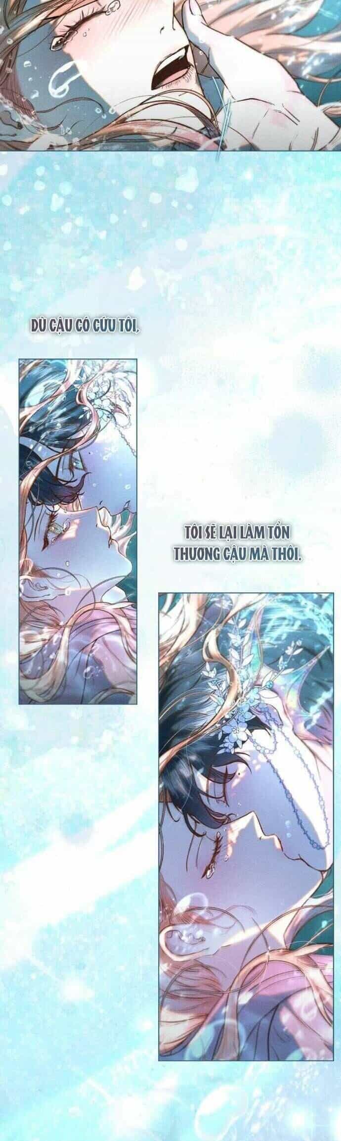 Chàng Tiên Cá Bị Giam Cầm Trong Hồ Nhà Tôi - Chương 6 - ảnh 13