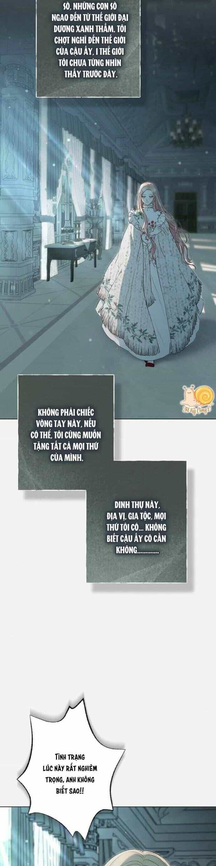 Chàng Tiên Cá Bị Giam Cầm Trong Hồ Nhà Tôi - Chương 9 - ảnh 22