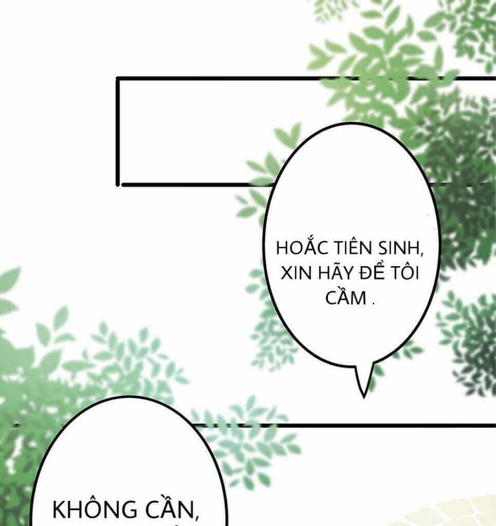 Chào Buổi Sáng, Ức Vạn Manh Thê - Chương 1 - ảnh 71