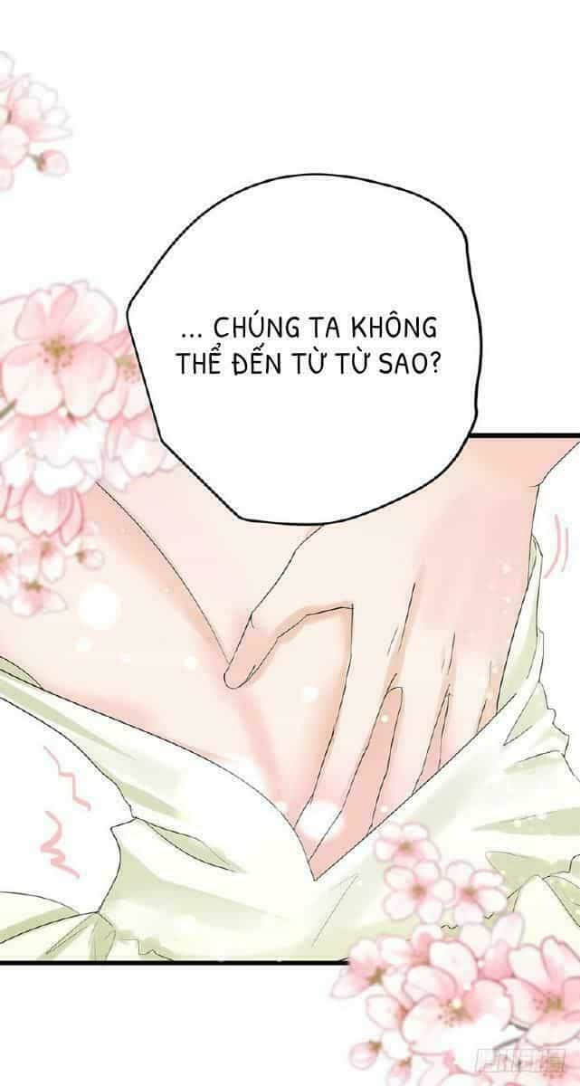 Chào Buổi Sáng, Ức Vạn Manh Thê - Chương 12 - ảnh 16