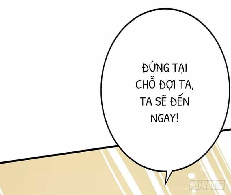 Chào Buổi Sáng, Ức Vạn Manh Thê - Chương 24 - ảnh 12