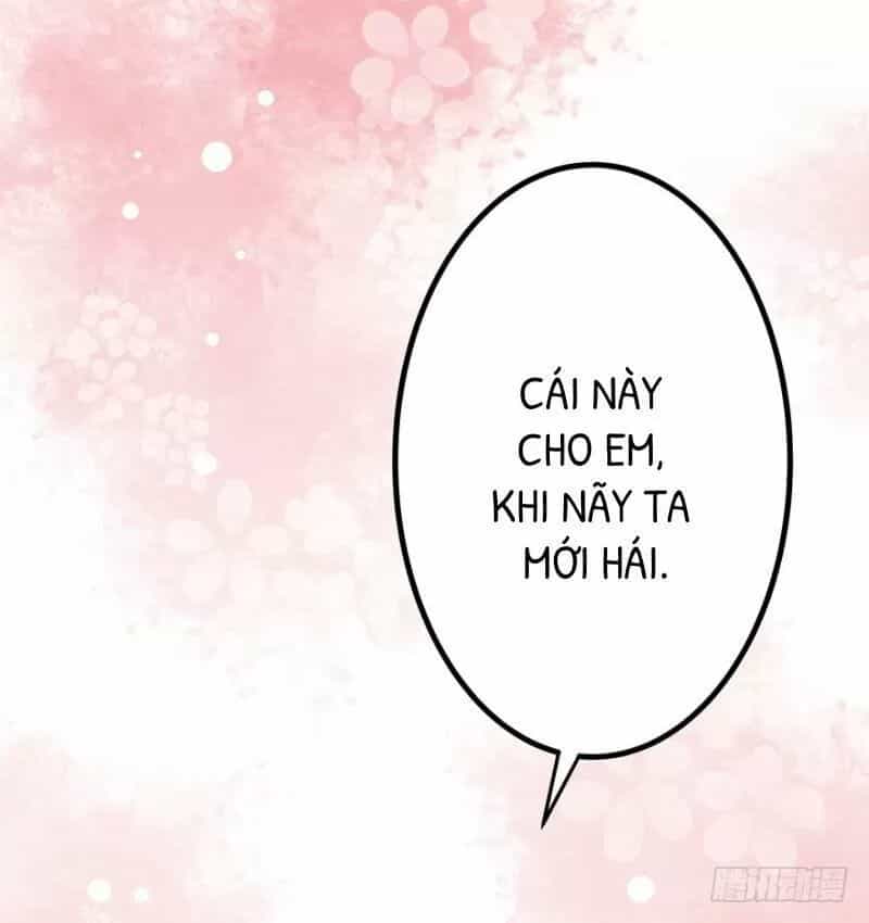 Chào Buổi Sáng, Ức Vạn Manh Thê - Chương 28 - ảnh 2
