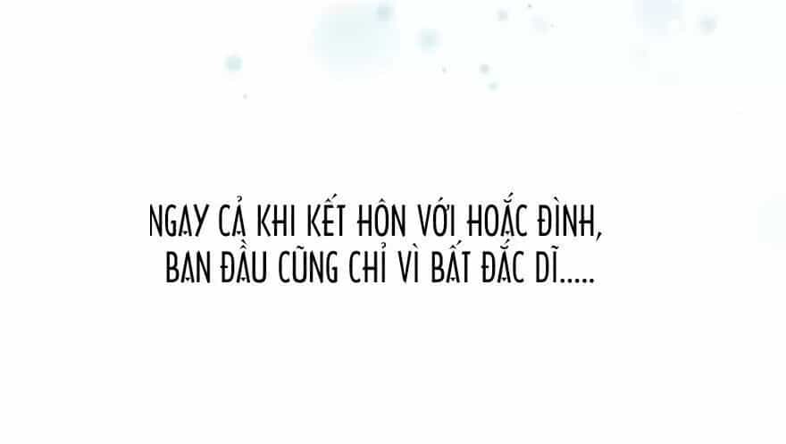 Chào Buổi Sáng, Ức Vạn Manh Thê - Chương 35 - ảnh 17