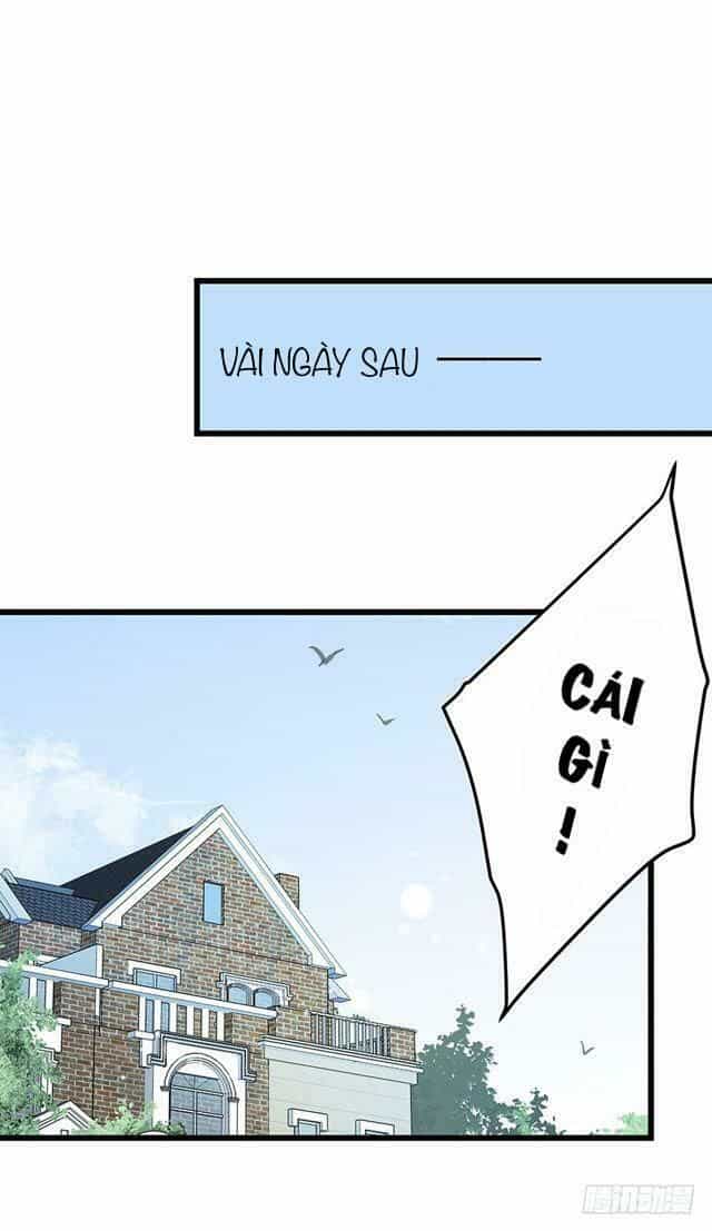 Chào Buổi Sáng, Ức Vạn Manh Thê - Chương 4 - ảnh 8