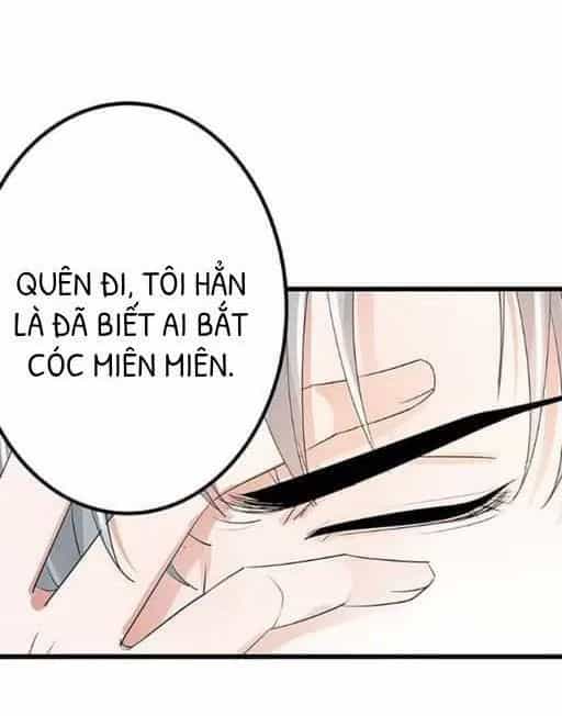 Chào Buổi Sáng, Ức Vạn Manh Thê - Chương 40 - ảnh 40