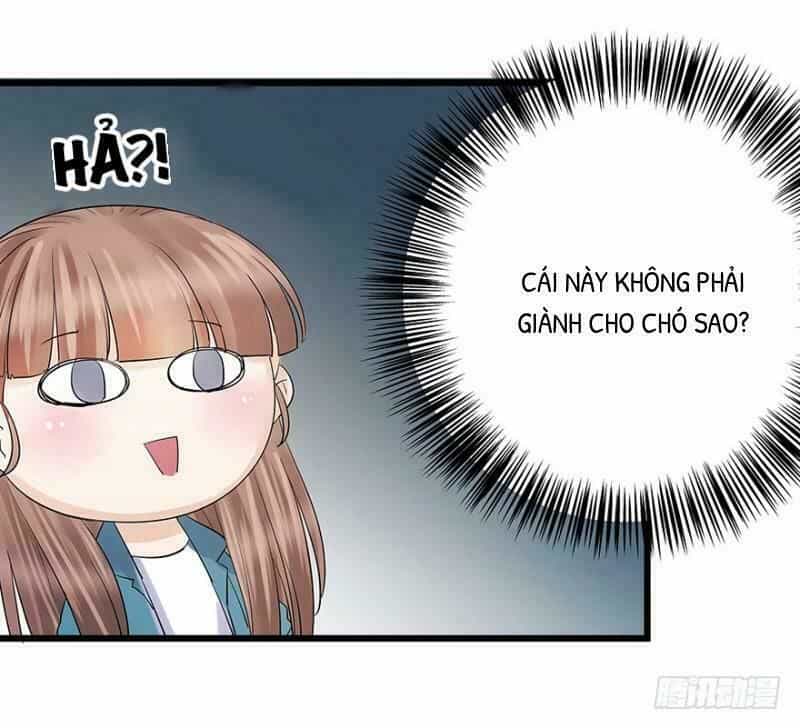 Chào Buổi Sáng, Ức Vạn Manh Thê - Chương 5 - ảnh 35