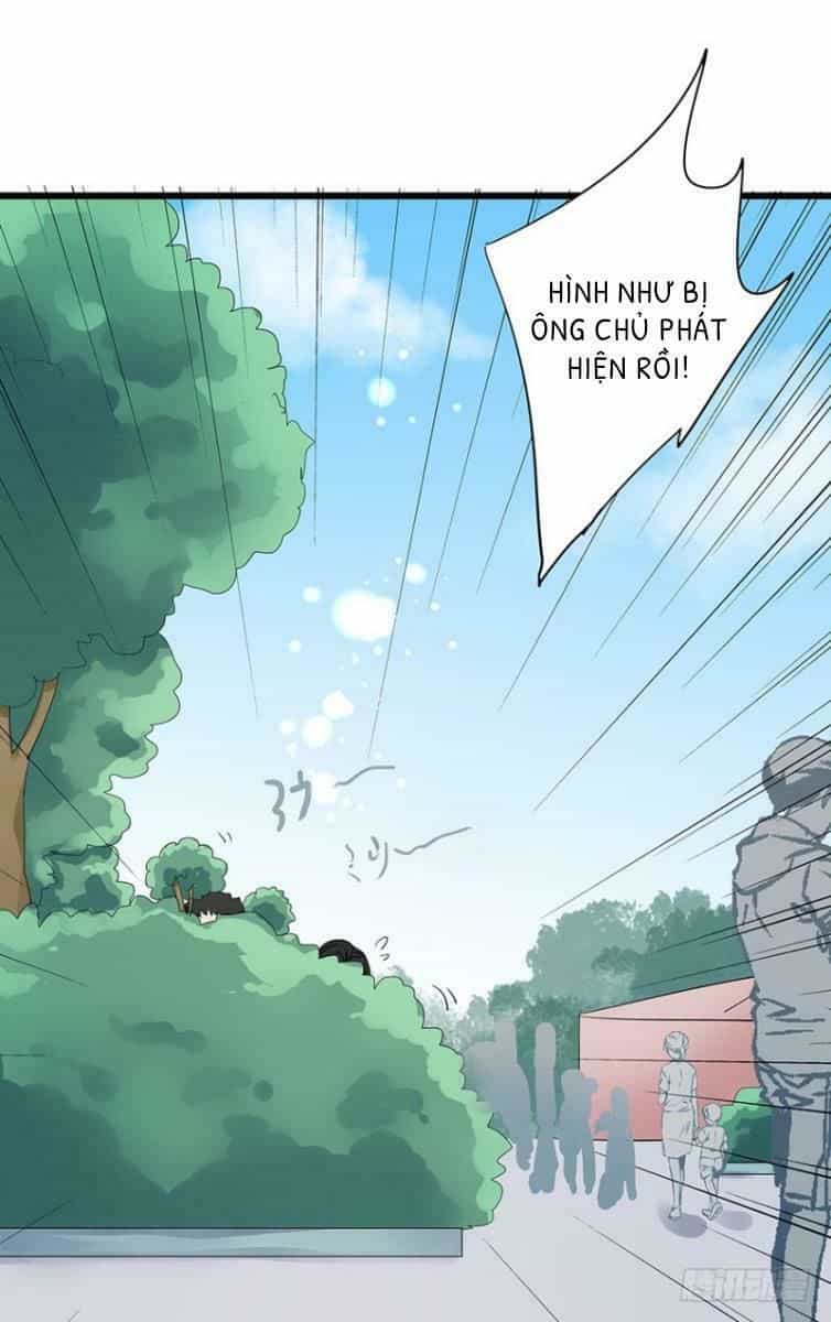 Chào Buổi Sáng, Ức Vạn Manh Thê - Chương 9 - ảnh 44